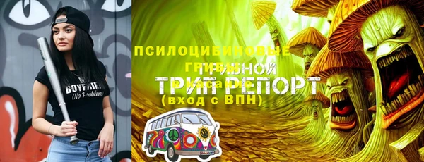стафф Каменногорск