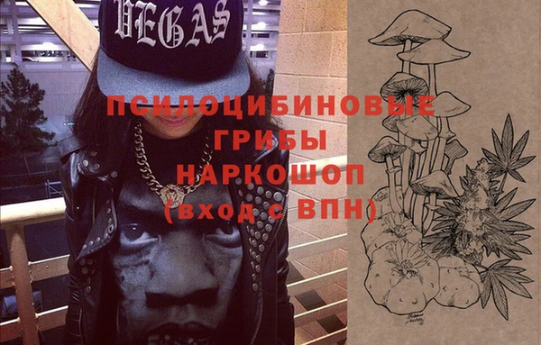 стафф Каменногорск