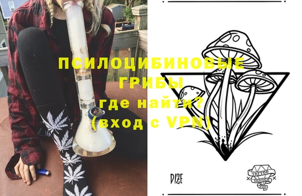 стафф Каменногорск
