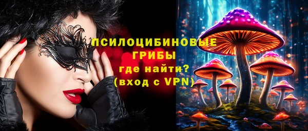 ALPHA-PVP Каменка