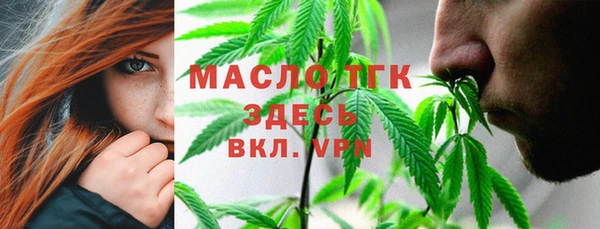 ALPHA-PVP Каменка