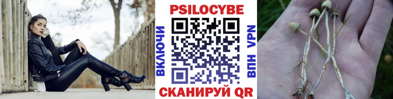 нарко площадка клад Инза Галлюциногенные грибы GOLDEN TEACHER