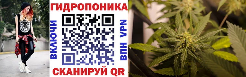 где купить   Инза  сайты даркнета какой сайт  Каннабис LSD WEED 